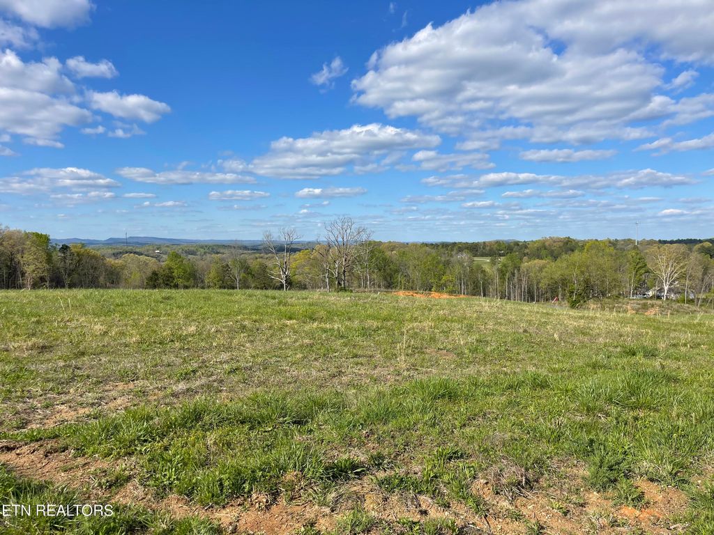 Photo of 7 Laura Boling Loop Rd, Strawberry Plains, TN 37871 (MLS # 1297331)