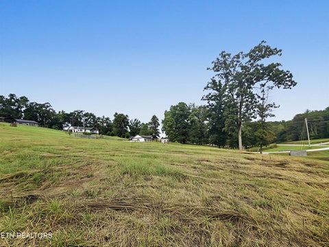 Photo of 2 E Union Valley Rd, Seymour, TN 37865 (MLS # 1356657)