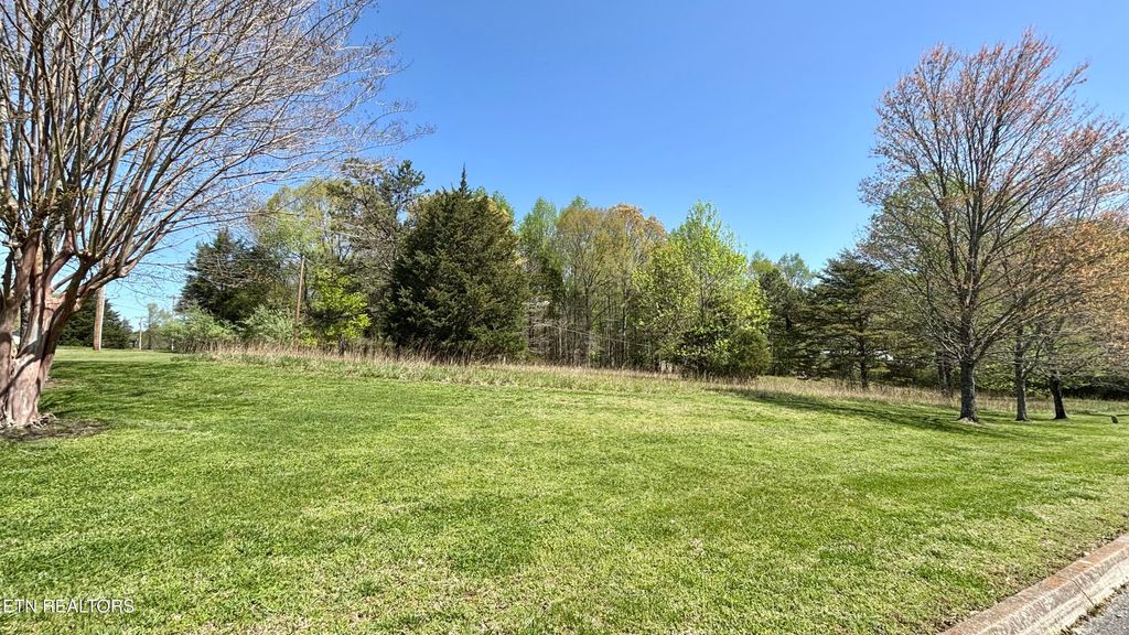 Photo of Swan Pond Circle Rd, Harriman, TN 37748 (MLS # 1297583)