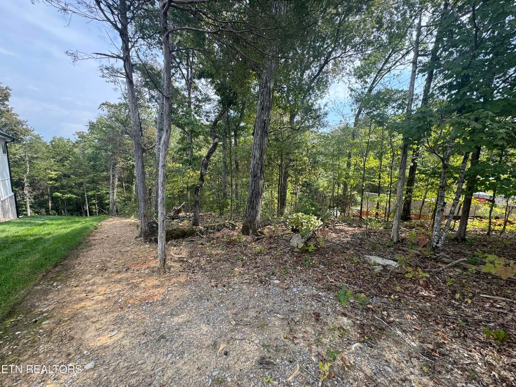 Photo of 103 Odali Lane, Loudon, TN 37774 (MLS # 1315577)