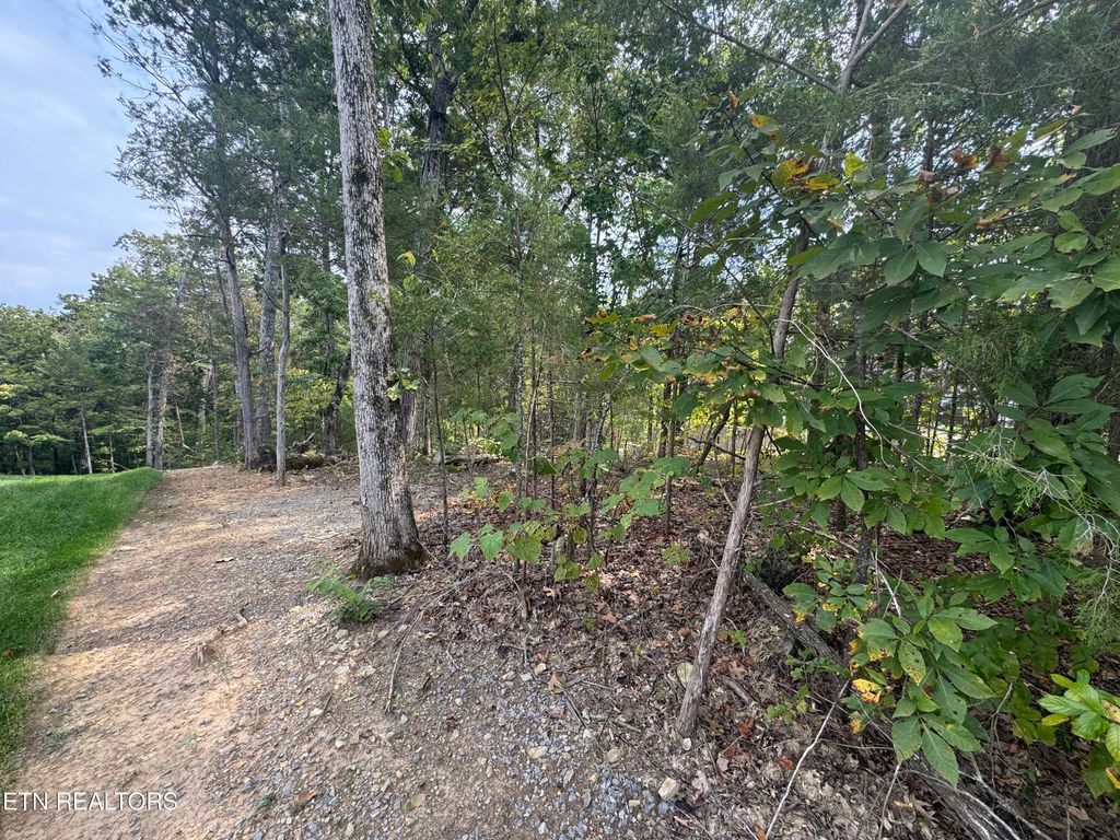 Photo of 103 Odali Lane, Loudon, TN 37774 (MLS # 1315577)