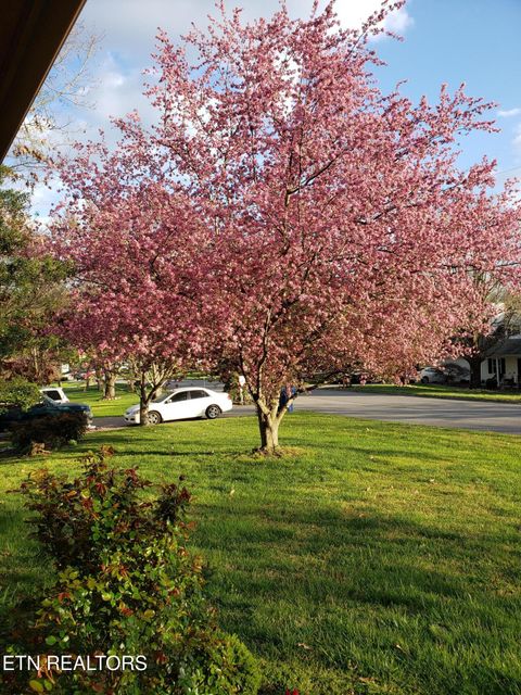 Tiny photo for 6600 Springer Drive, Knoxville, TN 37918 (MLS # 1324587)