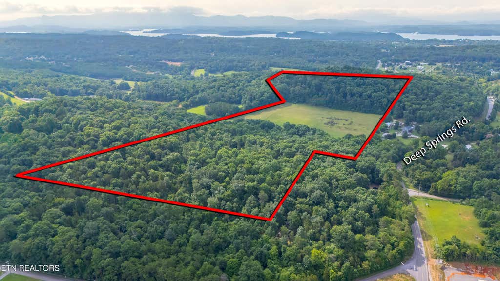 Photo of 1246 Deep Springs Rd, Dandridge, TN 37725 (MLS # 1347399)