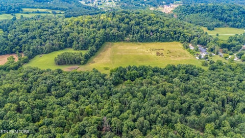 Tiny photo for 1246 Deep Springs Rd, Dandridge, TN 37725 (MLS # 1347399)