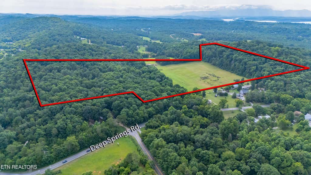 Photo of 1246 Deep Springs Rd, Dandridge, TN 37725 (MLS # 1347399)