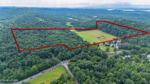 Tiny photo for 1246 Deep Springs Rd, Dandridge, TN 37725 (MLS # 1347399)