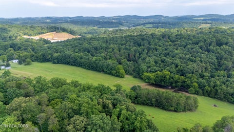 Tiny photo for 1246 Deep Springs Rd, Dandridge, TN 37725 (MLS # 1347399)