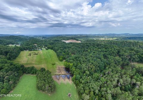 Tiny photo for 1246 Deep Springs Rd, Dandridge, TN 37725 (MLS # 1347399)
