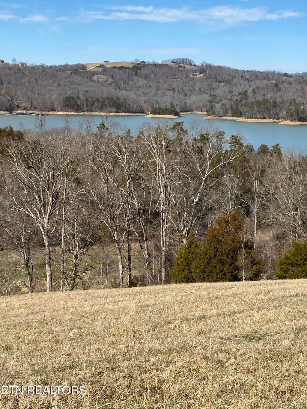 Photo of Bob Wright Rd, Lot 25 Rd, Maynardville, TN 37807 (MLS # 1250613)