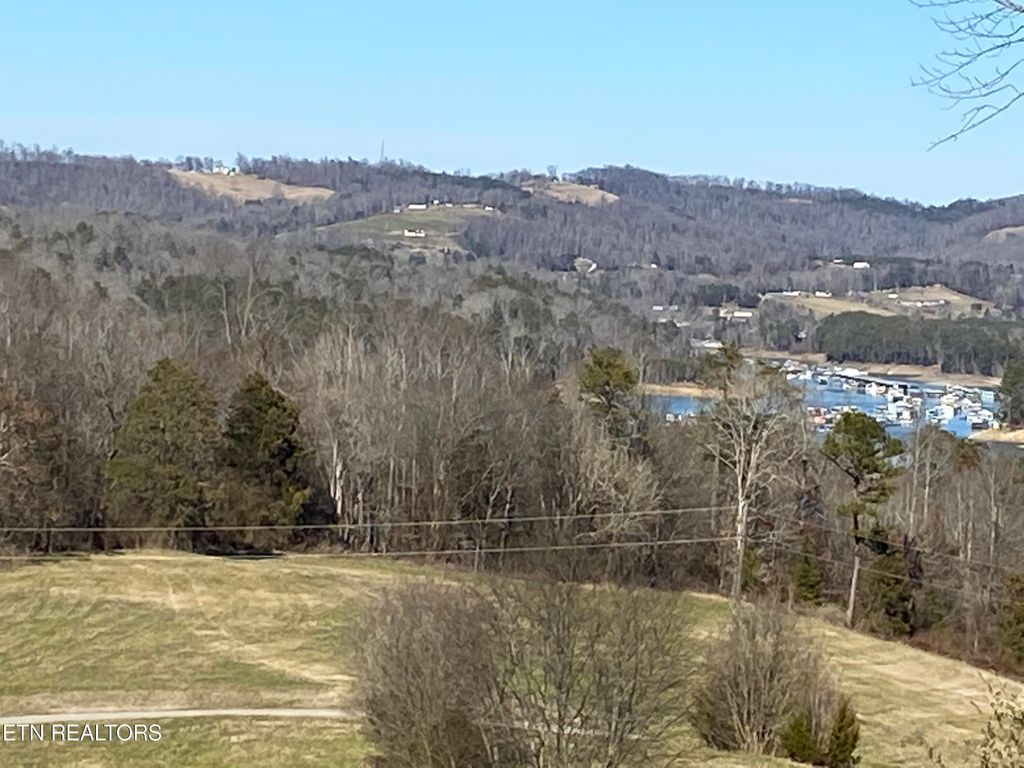 Photo of Bob Wright Rd, Lot 25 Rd, Maynardville, TN 37807 (MLS # 1250613)