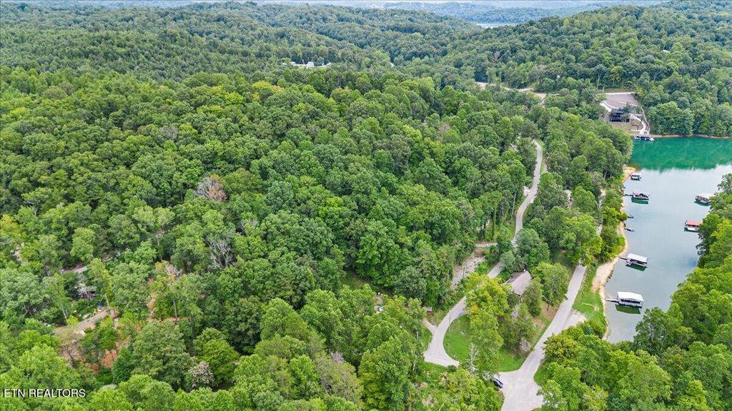 Photo of 0 Rainbow Cir, LaFollette, TN 37766 (MLS # 1276677)