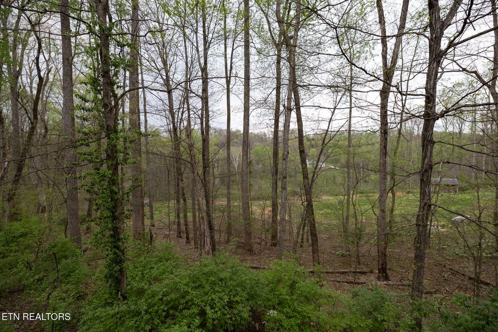 Photo of 151 Lakeview Circle, Clinton, TN 37716 (MLS # 1335379)
