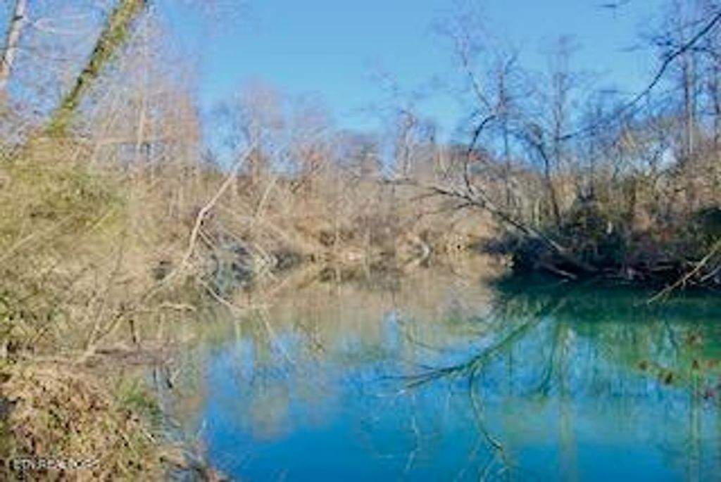 Photo of 3602 Williams Mill Rd, Rockford, TN 37853 (MLS # 1251910)