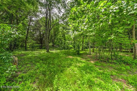 Tiny photo for Stone Ridge Drive, Andersonville, TN 37705 (MLS # 1342858)
