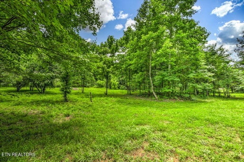 Tiny photo for Stone Ridge Drive, Andersonville, TN 37705 (MLS # 1342858)