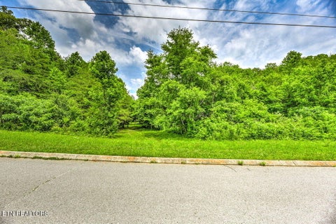 Tiny photo for Stone Ridge Drive, Andersonville, TN 37705 (MLS # 1342858)