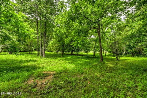 Tiny photo for Stone Ridge Drive, Andersonville, TN 37705 (MLS # 1342858)