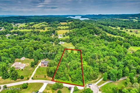 Tiny photo for Stone Ridge Drive, Andersonville, TN 37705 (MLS # 1342858)