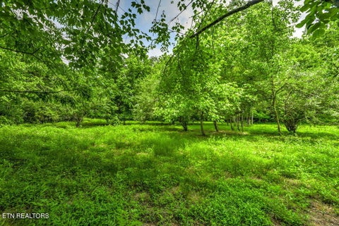 Tiny photo for Stone Ridge Drive, Andersonville, TN 37705 (MLS # 1342858)