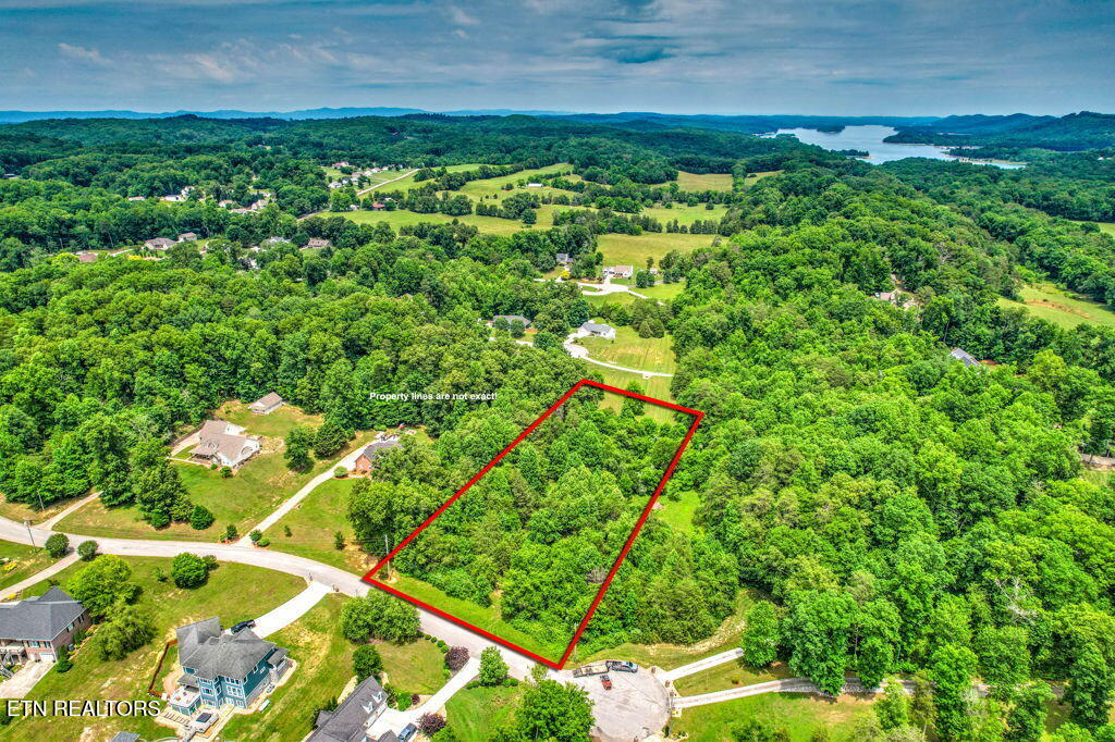 Stone Ridge Drive
