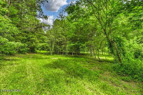 Tiny photo for Stone Ridge Drive, Andersonville, TN 37705 (MLS # 1342858)