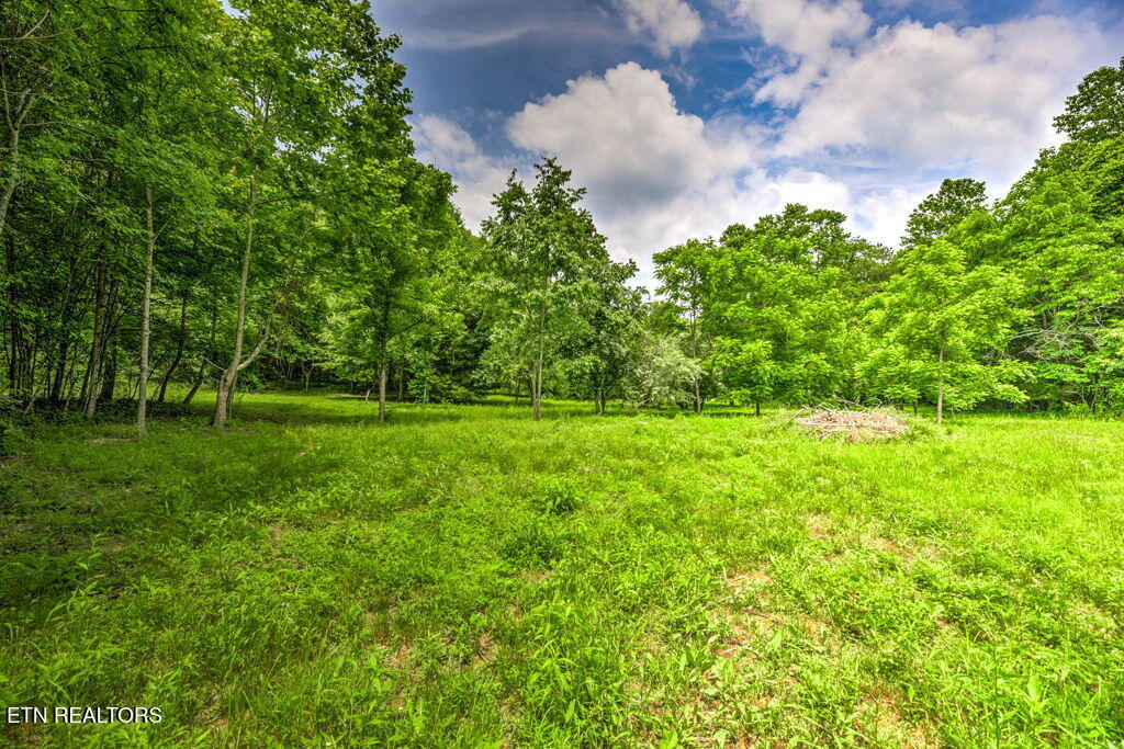 Stone Ridge Drive