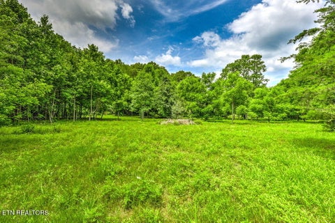 Tiny photo for Stone Ridge Drive, Andersonville, TN 37705 (MLS # 1342858)
