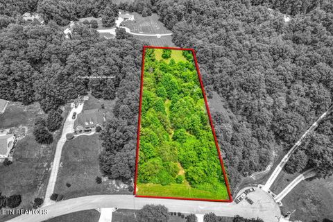 Photo of Stone Ridge Drive, Andersonville, TN 37705 (MLS # 1342858)