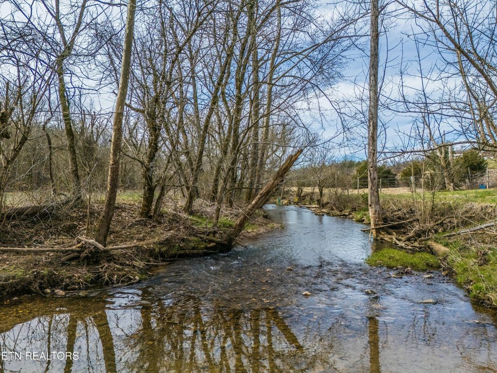 Photo of 13901 Hwy 131, Powder Springs, TN 37848 (MLS # 1293286)