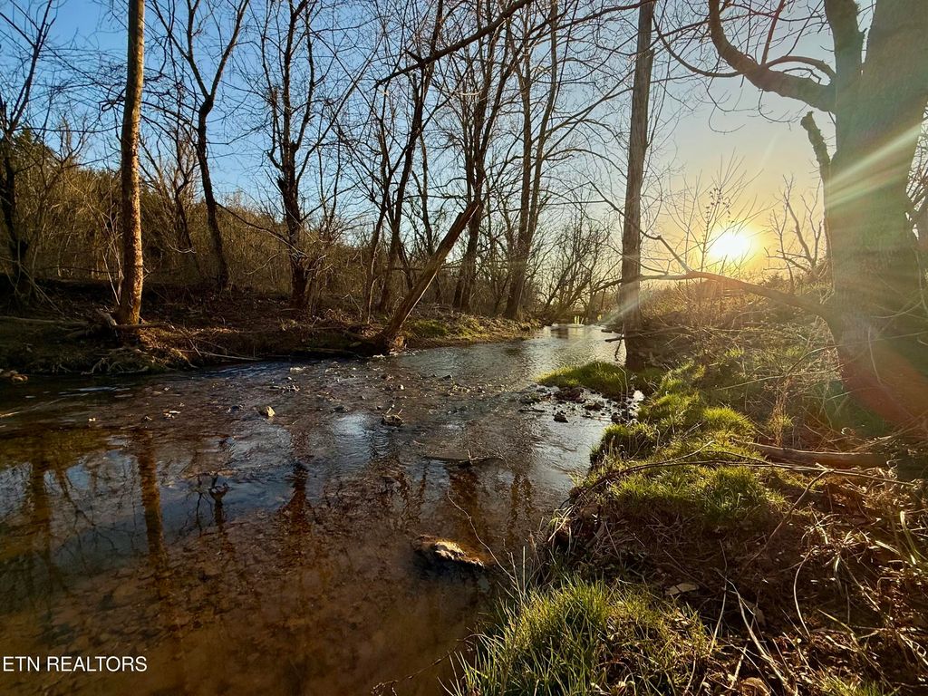 Photo of 13901 Hwy 131, Powder Springs, TN 37848 (MLS # 1293286)