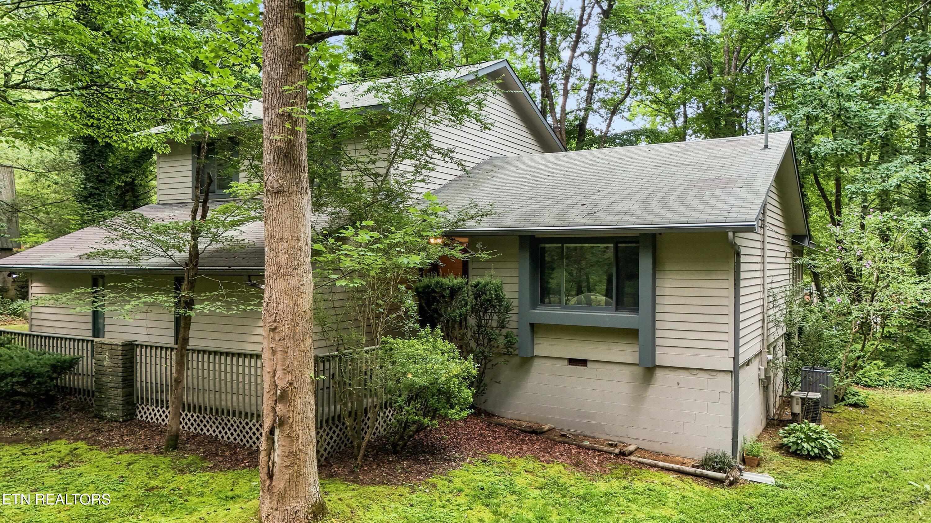 211 Webb Creek Skyline Drive
