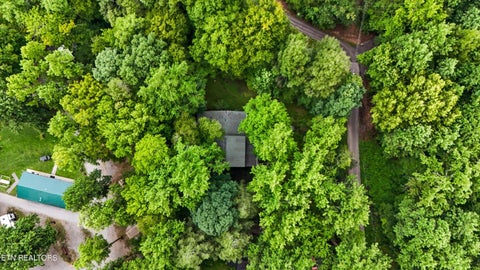 Tiny photo for 211 Webb Creek Skyline Drive, Gatlinburg, TN 37738 (MLS # 1349321)