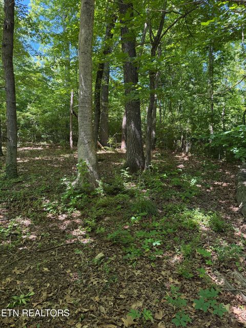Tiny photo for 1708 Timberlane Circle, Knoxville, TN 37924 (MLS # 1340531)