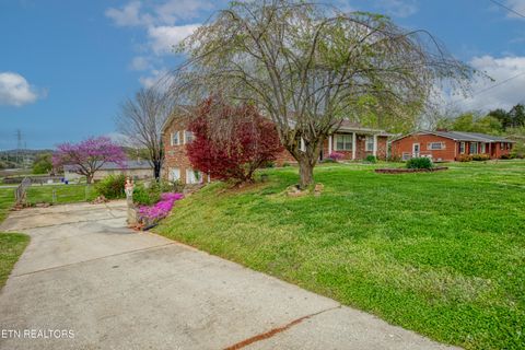 Tiny photo for 421 Lupine Drive, Knoxville, TN 37924 (MLS # 1333982)