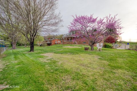 Tiny photo for 421 Lupine Drive, Knoxville, TN 37924 (MLS # 1333982)