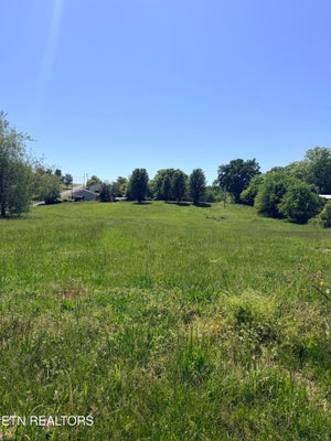 2058 WALTER DR, BULLS GAP, TN 37711 - Image 803cfcce7204537b9fd4cd3afbb1f786/2644063415