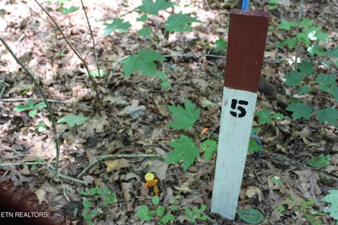 Photo of Pickett Park Hwy, Jamestown, TN 38556 (MLS # 1357168)
