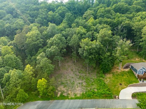 Bobbie Jean Lane Seymour TN 37865