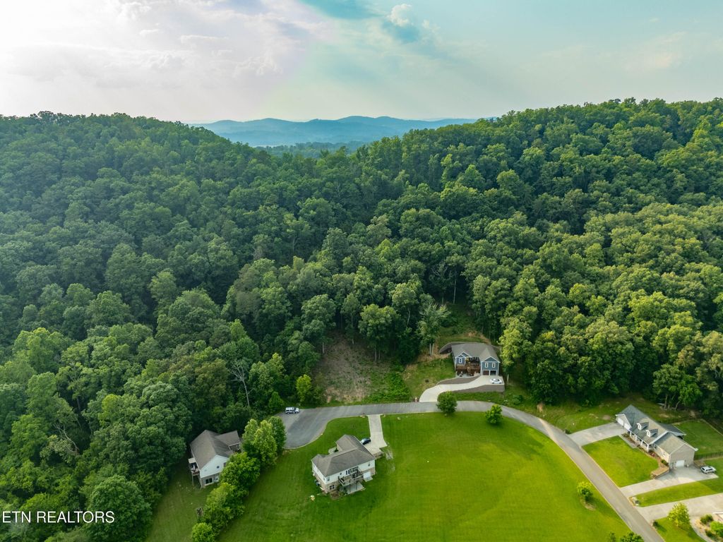 Photo of Bobbie Jean Lane, Seymour, TN 37865 (MLS # 1303758)
