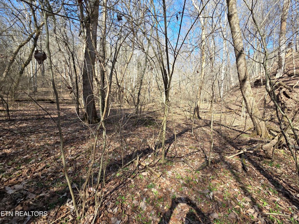Photo of Baysinger Rd, Newport, TN 37821 (MLS # 1330171)