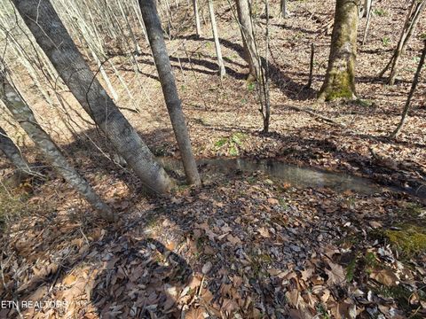 Tiny photo for Baysinger Rd, Newport, TN 37821 (MLS # 1330171)