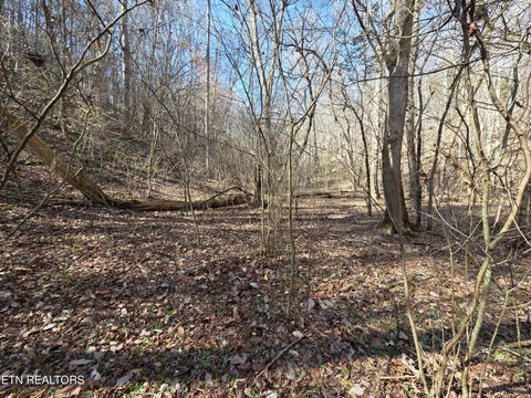 Photo of Baysinger Rd, Newport, TN 37821 (MLS # 1330171)