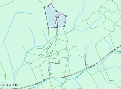 Tiny photo for Baysinger Rd, Newport, TN 37821 (MLS # 1330171)