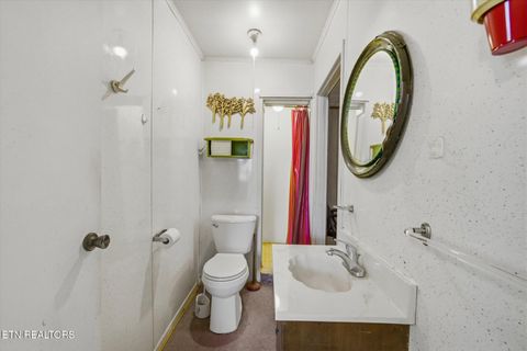 Tiny photo for 101 Dowlen Lane, Rocky Top, TN 37769 (MLS # 1340364)