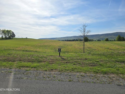 Tiny photo for 83 River Ridge Drive, Dunlap, TN 37327 (MLS # 1360276)