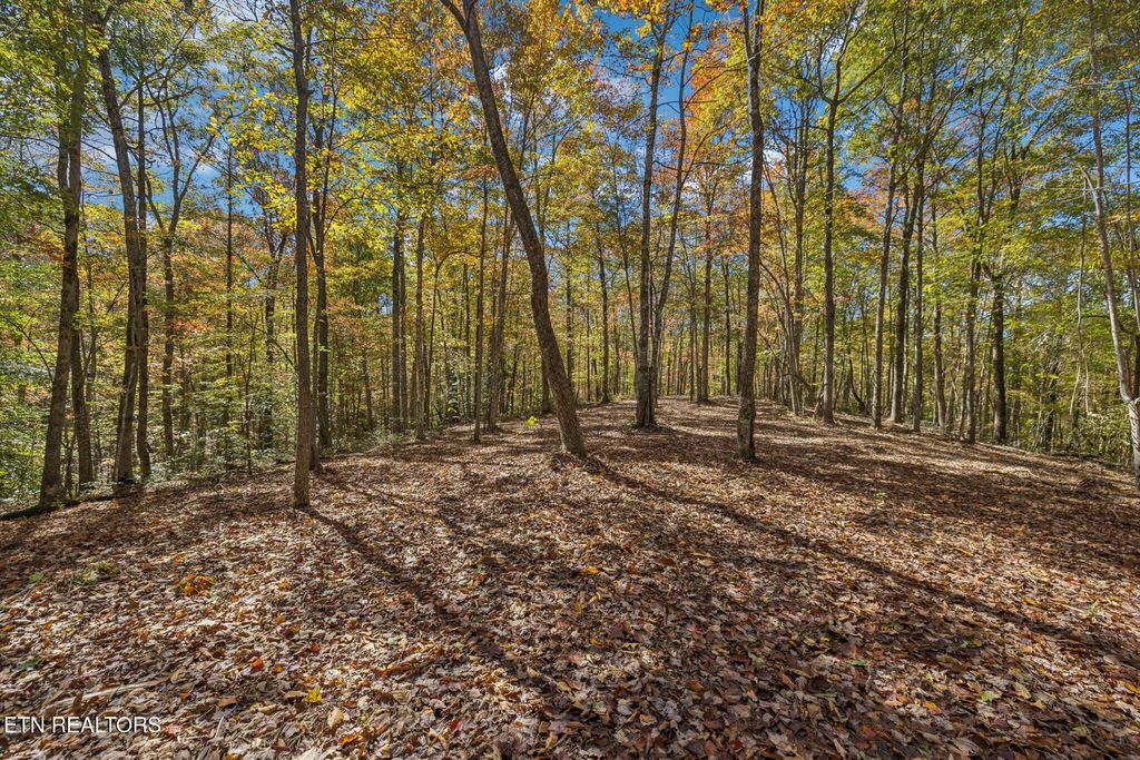 Photo of Sheep Ranch Rd, Robbins, TN 37852 (MLS # 1324748)
