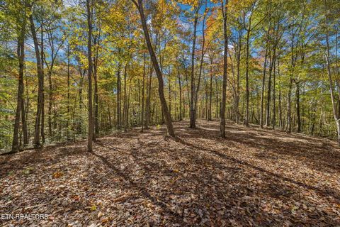 Photo of Sheep Ranch Rd, Robbins, TN 37852 (MLS # 1324748)