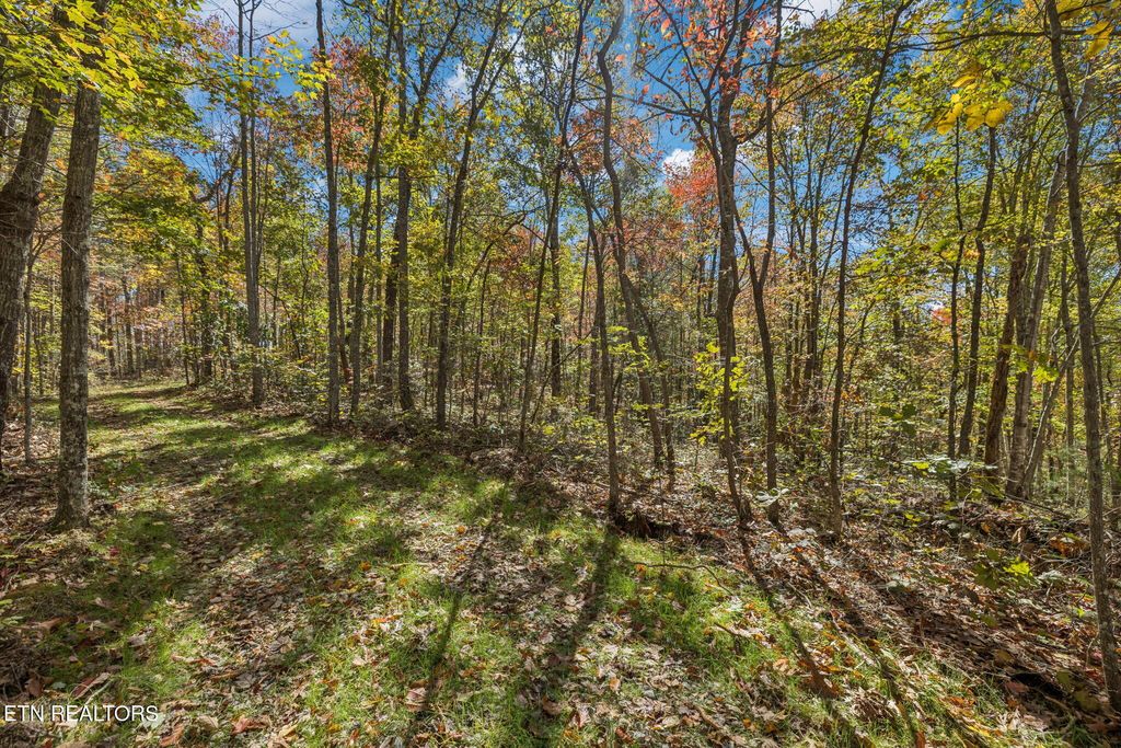 Photo of Sheep Ranch Rd, Robbins, TN 37852 (MLS # 1324748)