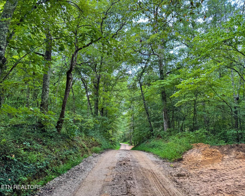 Photo of Sheep Ranch Rd., Robbins, TN 37852 (MLS # 1326487)