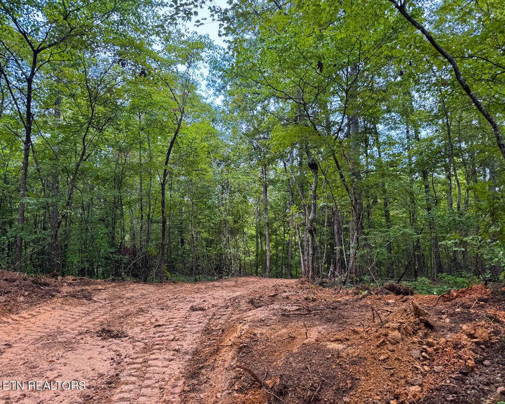 Photo of Sheep Ranch Rd., Robbins, TN 37852 (MLS # 1326487)